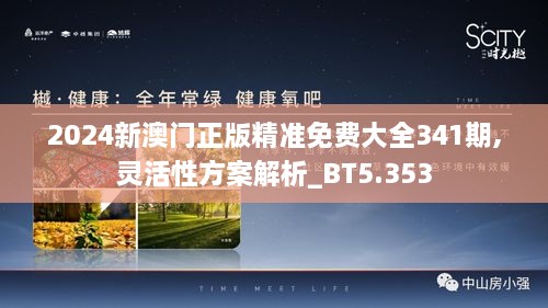 2024新澳门正版精准免费大全341期,灵活性方案解析_BT5.353