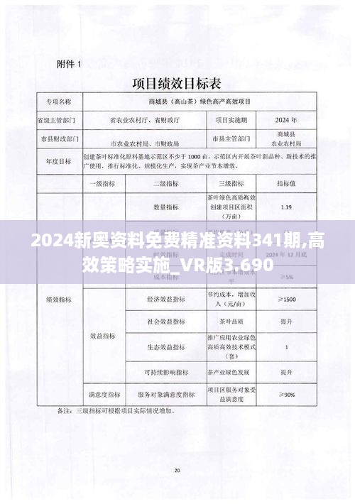 2024新奥资料免费精准资料341期,高效策略实施_VR版3.690