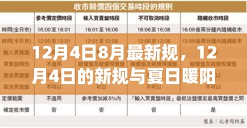 夏日暖阳下的新规，12月4日最新规定与温馨日常
