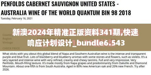 新澳2024年精准正版资料341期,快速响应计划设计_bundle6.543