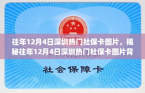 揭秘往年12月4日深圳热门社保卡图片背后的故事与现状