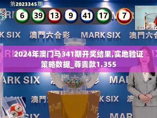 2024年澳门马341期开奖结果,实地验证策略数据_尊贵款1.355