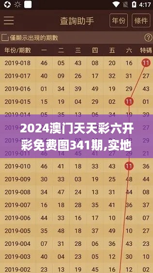 2024澳门天天彩六开彩免费图341期,实地分析数据应用_入门版6.377
