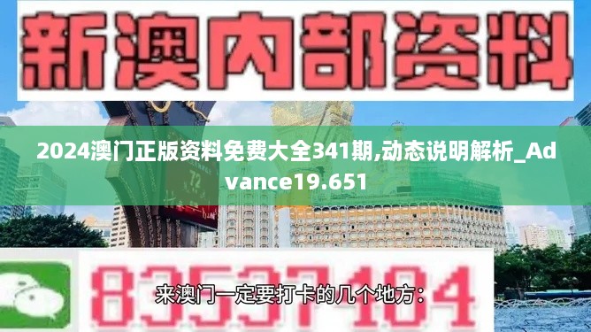 2024澳门正版资料免费大全341期,动态说明解析_Advance19.651
