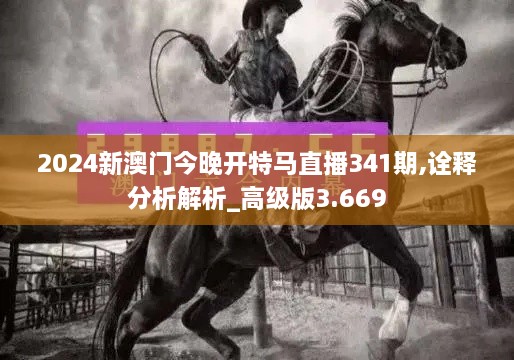 2024新澳门今晚开特马直播341期,诠释分析解析_高级版3.669