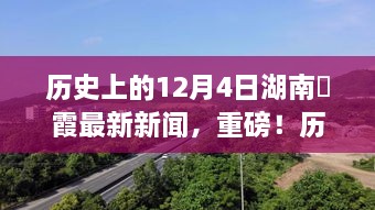 呆若木鸡 第3页