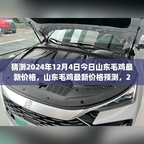 金灿灿 第2页