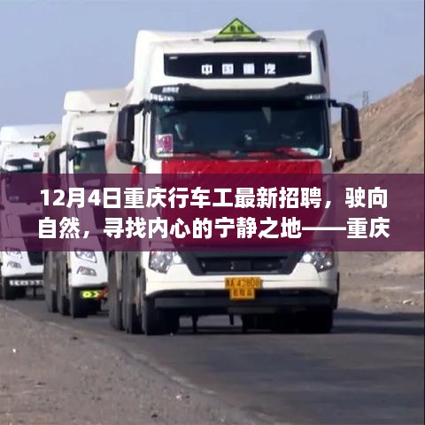 重庆行车工探秘之旅，寻找内心的宁静之地