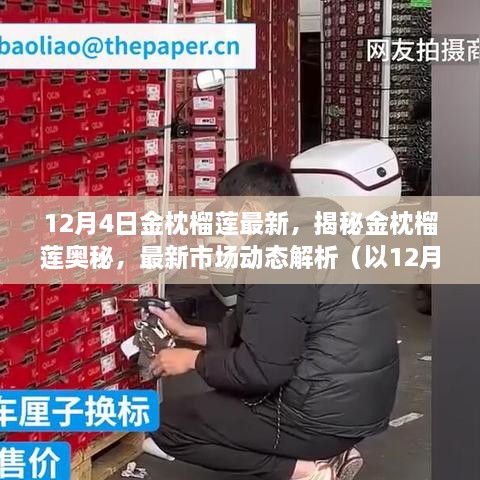 揭秘金枕榴莲奥秘，最新市场动态解析（以金枕榴莲市场动态为例）