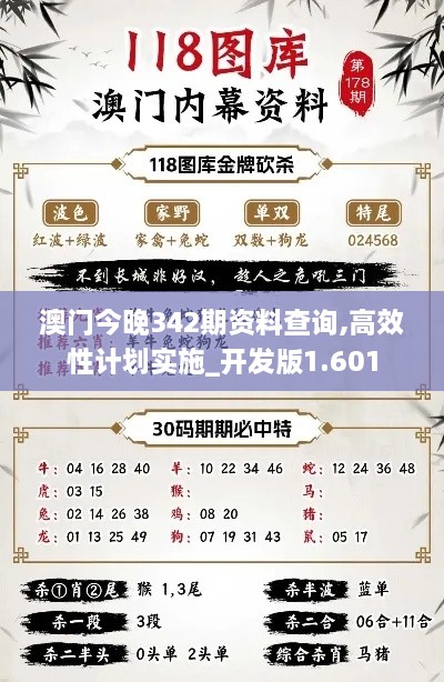 澳门今晚342期资料查询,高效性计划实施_开发版1.601