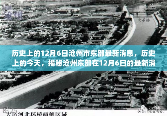 青红皂白 第2页