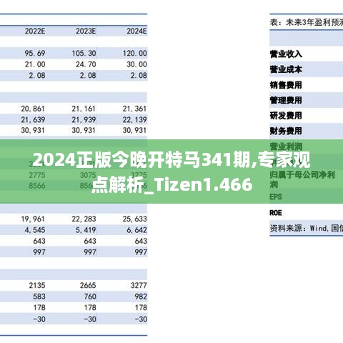 2024正版今晚开特马341期,专家观点解析_Tizen1.466