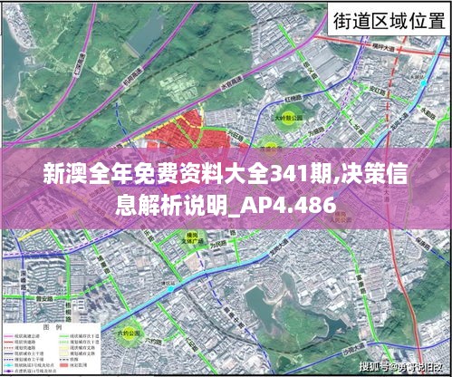 新澳全年免费资料大全341期,决策信息解析说明_AP4.486