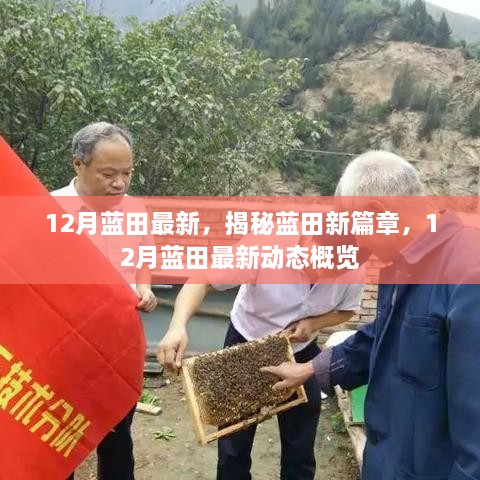 揭秘蓝田新篇章，12月最新动态概览