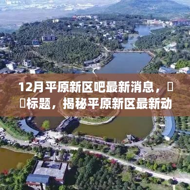 揭秘平原新区最新动态，12月独家消息与小红书抢先看！
