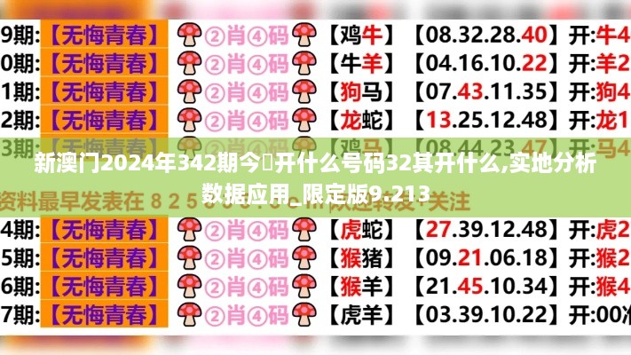 新澳门2024年342期今睌开什么号码32其开什么,实地分析数据应用_限定版9.213