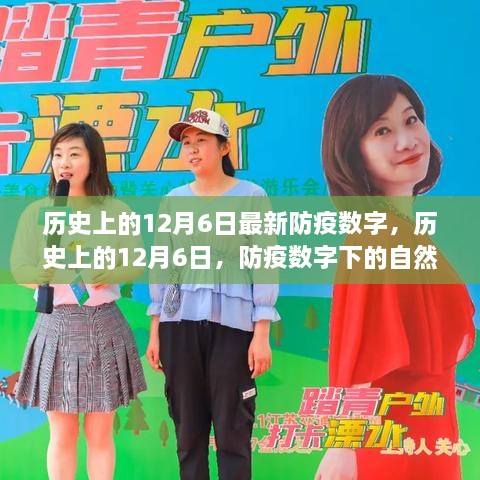 历史上的12月6日防疫数字背后的自然之旅，寻找内心的宁静与平和