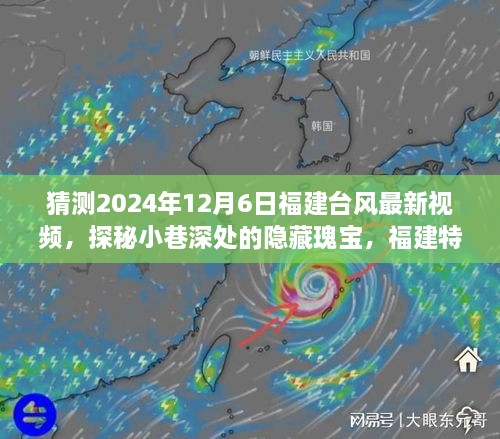 探秘福建小吃店与台风天的奇妙邅遇，最新台风视频预测与小巷深处隐藏瑰宝的探秘之旅