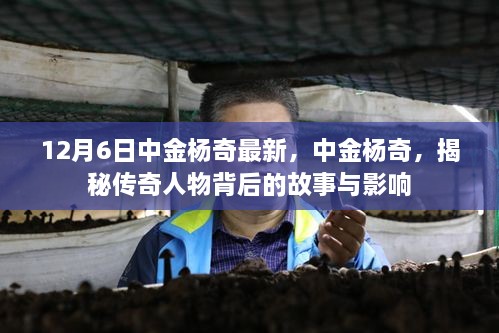 中金杨奇揭秘，传奇人物背后的故事与深远影响