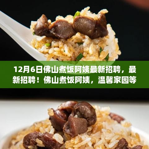12月6日佛山煮饭阿姨最新招聘，最新招聘！佛山煮饭阿姨，温馨家园等你来