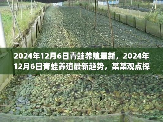 2024年12月6日青蛙养殖最新，2024年12月6日青蛙养殖最新趋势，某某观点探析
