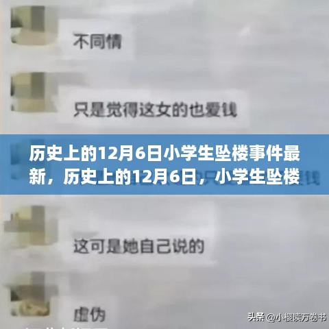 历史上的12月6日小学生坠楼事件深度探究与最新进展报告