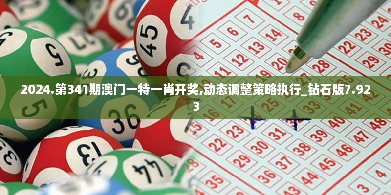 2024.第341期澳门一特一肖开奖,动态调整策略执行_钻石版7.923