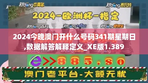 2024今晚澳门开什么号码341期星期日,数据解答解释定义_XE版1.389