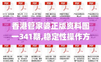 香港管家婆正版资料图一341期,稳定性操作方案分析_轻量版10.939