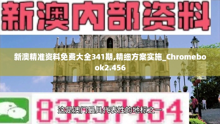 新澳精准资料免费大全341期,精细方案实施_Chromebook2.456
