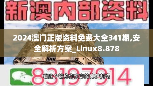2024澳门正版资料免费大全341期,安全解析方案_Linux8.878