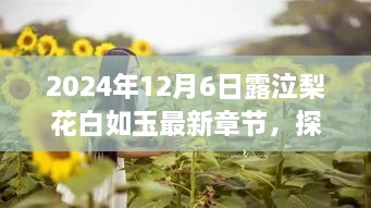 2024年12月6日露泣梨花白如玉最新章节，探秘自然秘境，2024年12月6日露泣梨花白如玉的奇妙之旅
