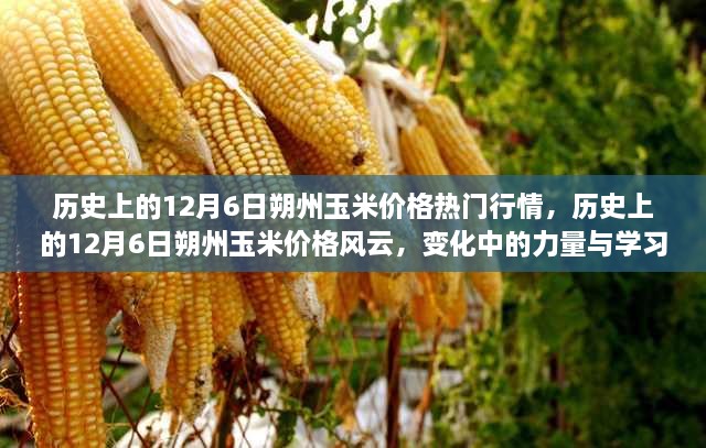 历史上的12月6日朔州玉米价格热门行情，历史上的12月6日朔州玉米价格风云，变化中的力量与学习的魅力