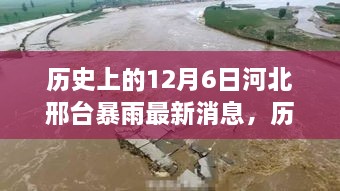 河北邢台暴雨事件深度解析，历史与最新消息的综合观察与观点探讨