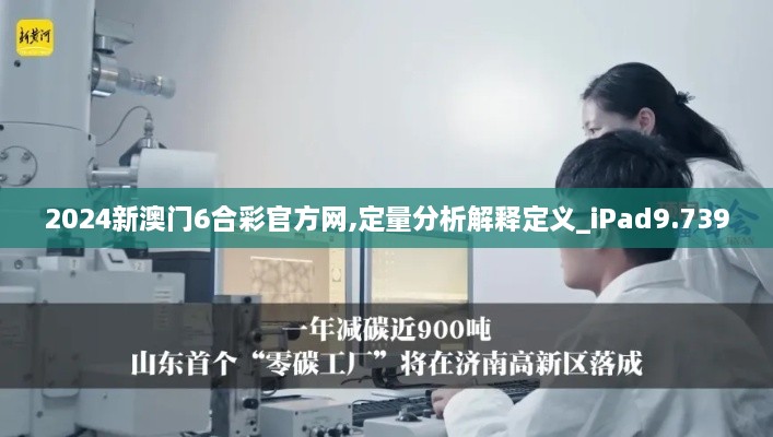 2024新澳门6合彩官方网,定量分析解释定义_iPad9.739