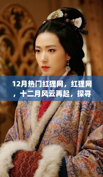 12月热门红狸网，红狸网，十二月风云再起，探寻背后的故事与影响力