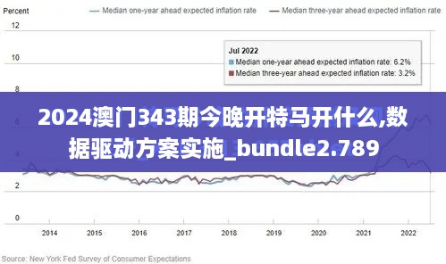 2024澳门343期今晚开特马开什么,数据驱动方案实施_bundle2.789