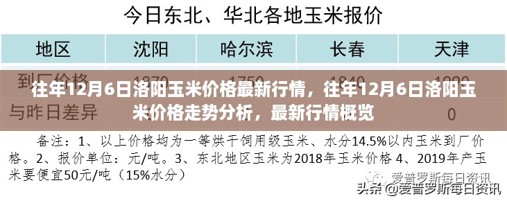 往年12月6日洛阳玉米价格走势及最新行情概览分析