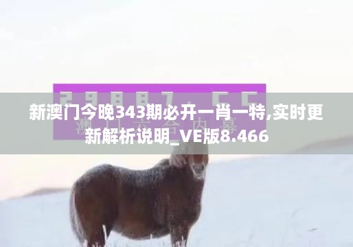 新澳门今晚343期必开一肖一特,实时更新解析说明_VE版8.466