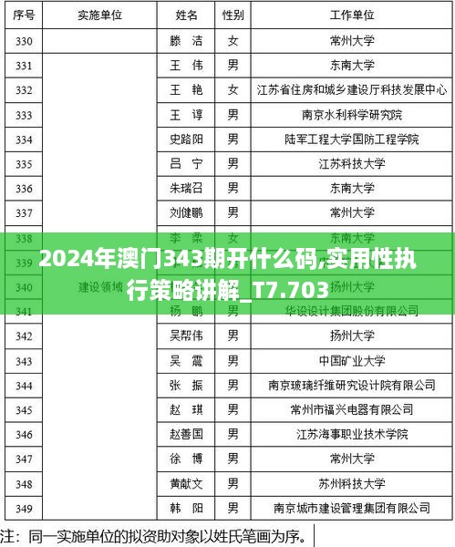 2024年澳门343期开什么码,实用性执行策略讲解_T7.703