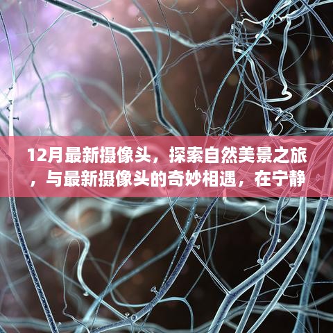 最新摄像头带你探索自然美景，宁静之旅找寻真我