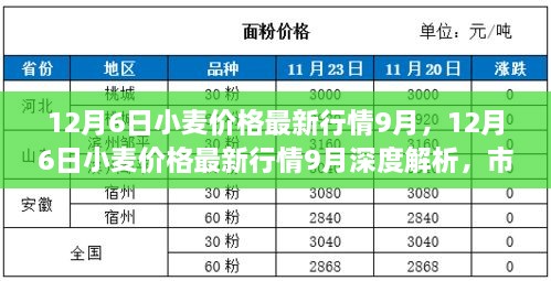 新闻动态 第173页