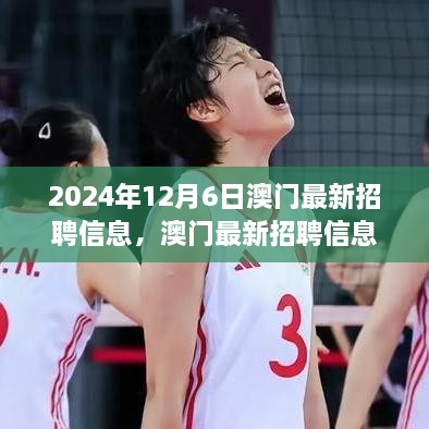 澳门最新招聘信息概览，职业发展机遇与挑战在2024年12月6日