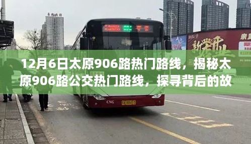 揭秘太原906路公交车背后的故事与细节，探寻热门路线的秘密（附要点解析）