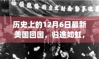 马革裹尸 第3页