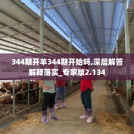 344期开羊344期开始吗,深层解答解释落实_专家版2.134