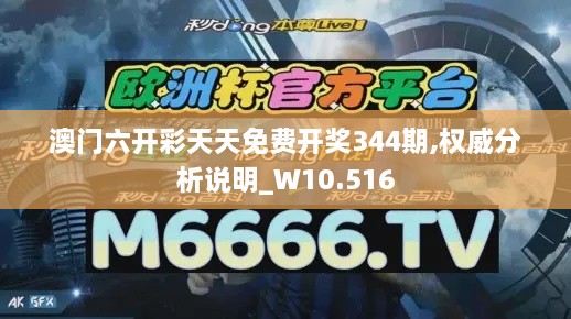 澳门六开彩天天免费开奖344期,权威分析说明_W10.516
