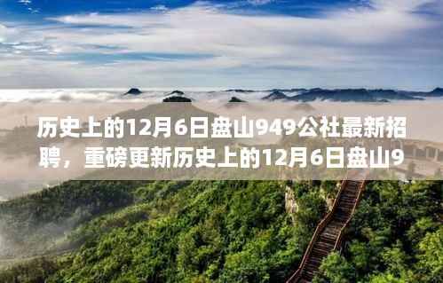 历史上的12月6日盘山949公社最新招聘启事重磅发布，你错过了吗？