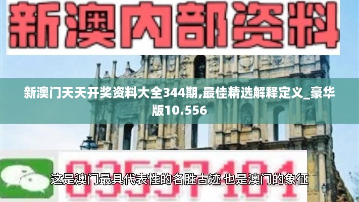 新澳门天天开奖资料大全344期,最佳精选解释定义_豪华版10.556