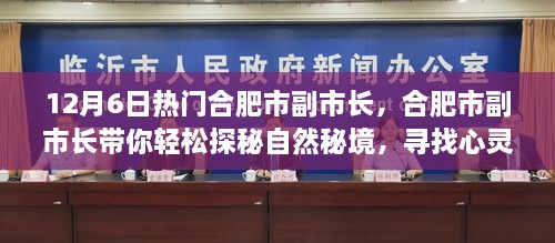 合肥市副市长带你探秘自然秘境，寻找心灵港湾之旅（12月6日热门）